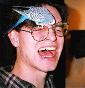 A picture of my little blue 
parakeet attacking my brother